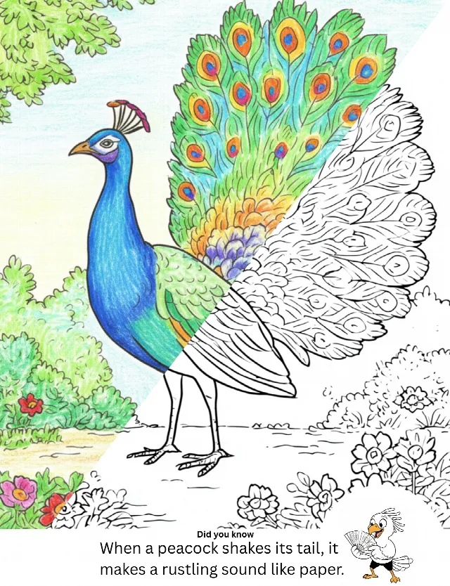 Colors of the Savannah gallery image 6