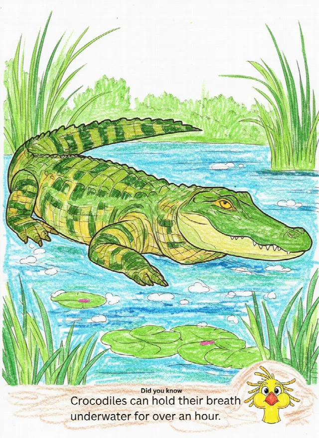 Colors of the Savannah gallery image 3